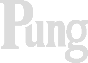 Yeni Nesil Medya Pung